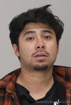 Mugshot of MARIO BRAVO