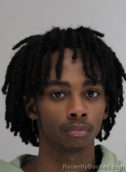 Mugshot of DOMINIQUE GRICELEGRAND