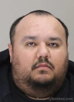 Mugshot of RICARDO HERNANDEZ