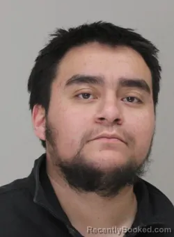 Mugshot of ENRIQUE RIVERA