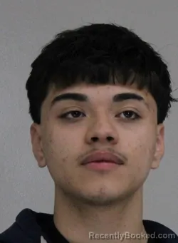 Mugshot of MARIO NAVARRO
