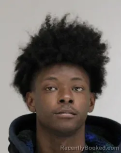 Mugshot of LI RAY BURKS