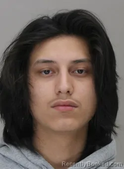 Mugshot of MIGUEL PEREZESTRADA