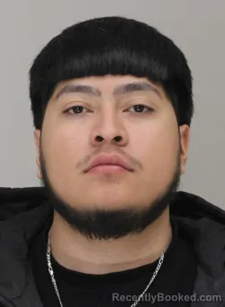Mugshot of MARTIN CARRENO