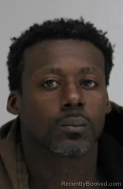 Mugshot of LANATHAN BIZZELL