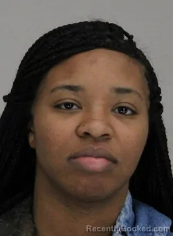 Mugshot of BRIANNE BROWN