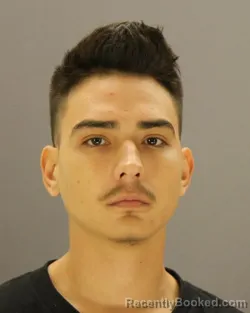 Mugshot of ROBERT GAUNA
