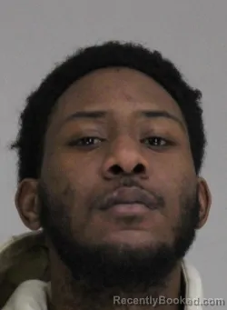 Mugshot of BRANDON WILLS