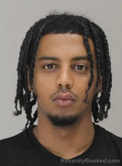 Mugshot of BIRUK ABADI