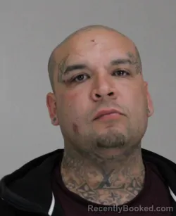 Mugshot of BRANDON SEPEDA