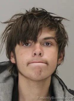 Mugshot of NICKOLAS SANCHEZ