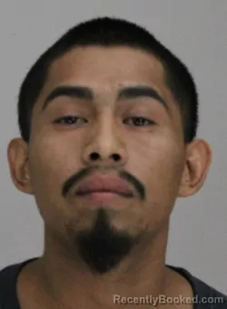 Mugshot of CARLOS ALANIZ