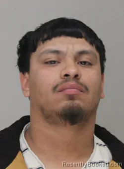 Mugshot of MANUEL DAVILA