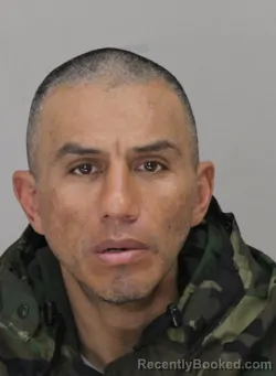 Mugshot of JORGE FERNANDEZ