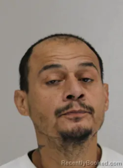 Mugshot of RENE FALCON