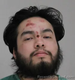 Mugshot of DAVID ROSALES