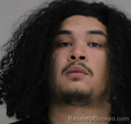 Mugshot of LUIS ORTIZ