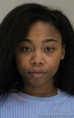 Mugshot of INDIA BURKE