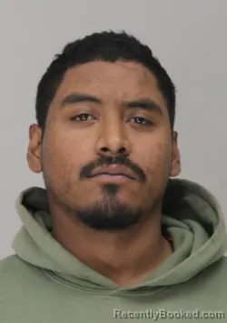 Mugshot of YOBANNY ROMAN