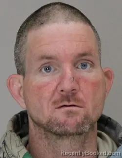 Mugshot of MICHAEL LITTLES