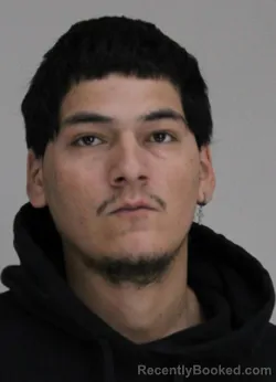 Mugshot of BRIAN PINEDACASTRO