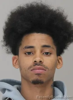 Mugshot of MICHAEL WALLACE