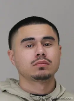 Mugshot of RICARDO BOSORIA