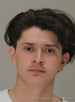 Mugshot of RAFAEL VASQUEZTREJO
