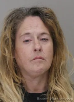 Mugshot of TERRI HENLEY
