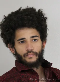 Booking photo from Dallas County, Texas