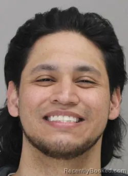 Mugshot of FERNANDO RUBIOPEREZ