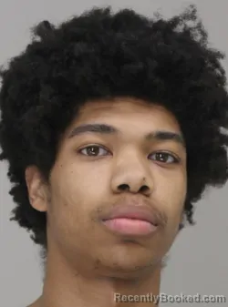 Mugshot of DOMINQUE FRAZIER