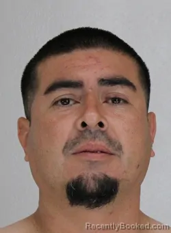 Mugshot of JAIMIE TORRES