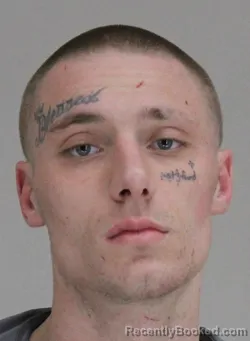 Mugshot of NOAH HAZLEWOOD