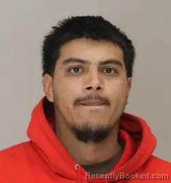 Mugshot of LUIS FIERRO