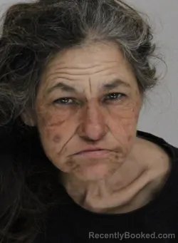 Mugshot of JENNETTE MORALES