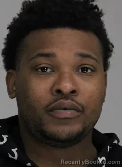 Mugshot of DAMONTRELL FINLEY