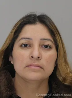 Mugshot of ADELA GONZALEZ