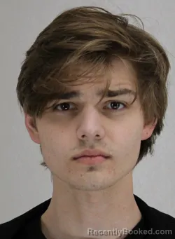 Mugshot of JAEDON FAIN