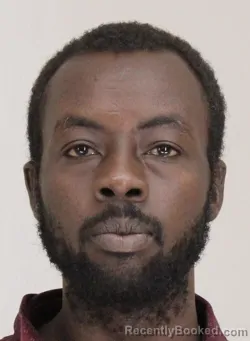 Mugshot of BESHARA MERISH