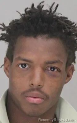 Mugshot of DONNEIL BROWN