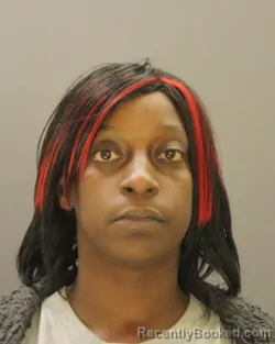 Mugshot of JANESSA HOWARD