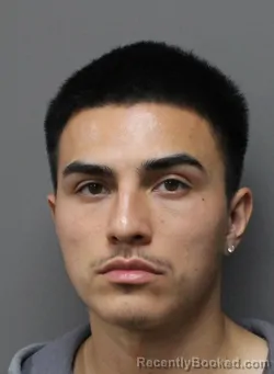 Booking photo from Dallas County, Texas