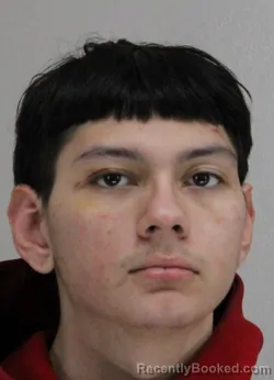 Mugshot of ANDY MERINO