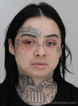 Mugshot of LIDIA ACOSTA ENRIQUEZ booked in Dallas County, Texas on March 18, 2026