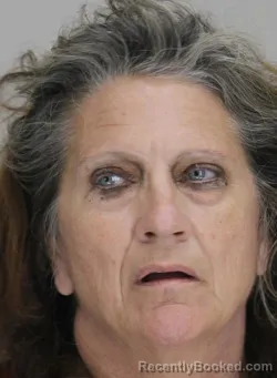 Mugshot of JACQUELINE LIVELY booked in Dallas County, Texas on March 18, 2026