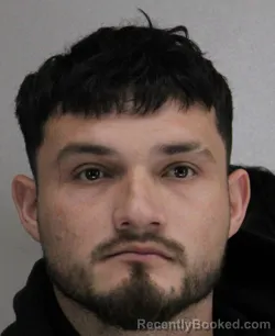 Mugshot of EDWIN VELIZVELIZ booked in Dallas County, Texas on March 18, 2026