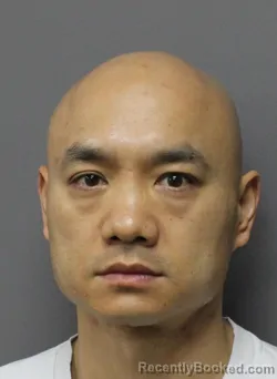 Mugshot of HAI VU booked in Dallas County, Texas on March 19, 2026