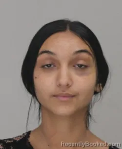 Mugshot of MARIA PARULEA booked in Dallas County, Texas on March 19, 2026