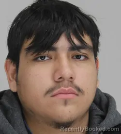 Mugshot of LUIS VERA booked in Dallas County, Texas on March 19, 2026